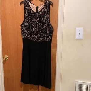 Dress Barn Black and Beige Lace Dress